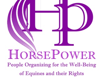HORSEPOWER Spurs NYS Senator to Call For $10M ‘Equine Facility Disaster Relief Fund’ #horsepower #eliteequestrian elite equestrian magazine