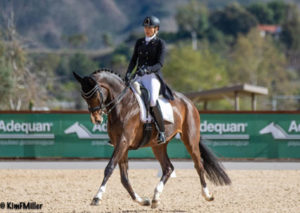 Pacific Coast Dressage Wrap-Up Temecula, California #dressage #eliteequestrian elite equestrian magazine