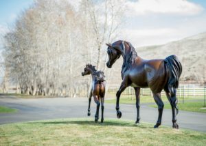 Judy and Kim Nordquist, Creating a Life-size Bronze Sculpture #eliteequestrian elite equestrianmagazine