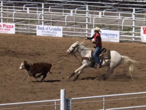 Horse Trailer Accident Cowgirl #cowgirl Valley Vet #eliteequestrian elite equestrian magazine