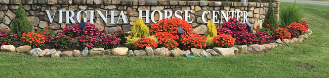Virginia Horse Trials Rescheduled to Run July 21-24 #eliteequestrian #virginia elite equestrian magazine