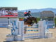 #fei #dalmanjump dalman jump Catie Staszak Media #eliteequestrian elite equestrian magazine