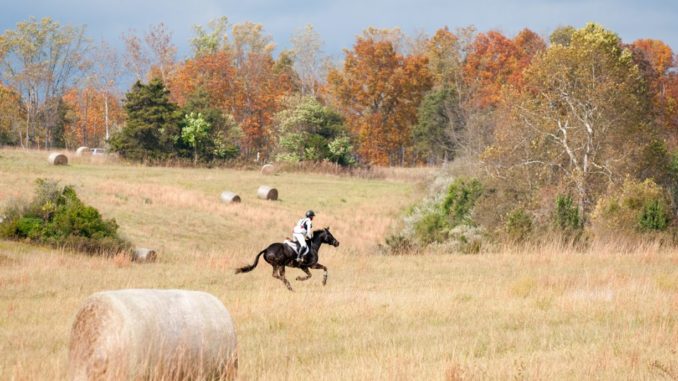 2020 USEA Young Event Horse East Coast Championships Coming to Virginia Horse Trials #eliteequestrian elite equestrian magazine