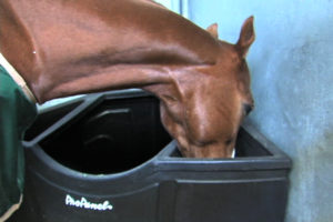 Stall Grazer. The World Champions Horse Feeder propanel #eliteequestrian elite equestrian magazine