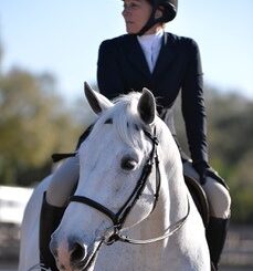 Donna Noce Colaco appointed Chair of Haygain Board of Directors #haygain #eliteequestrian elite equestrian magazine