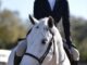 Donna Noce Colaco appointed Chair of Haygain Board of Directors #haygain #eliteequestrian elite equestrian magazine