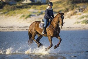 How to Keep Yourself Equestrian Fit #eliteequestrian elite equestrian magazine
