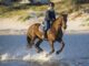 How to Keep Yourself Equestrian Fit #eliteequestrian elite equestrian magazine