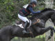 Horse Trials at Morven Park_ credit Erin Gilmore Photography. #eliteequestrian