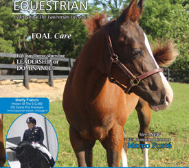 Elite Equestrian magazine #eliteequestrian