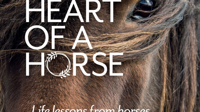 THE HEART OF A HORSE #eliteequestrian
