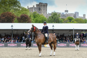 Royal Windsor Horse Show  #royalwindsor #eliteequestrian
