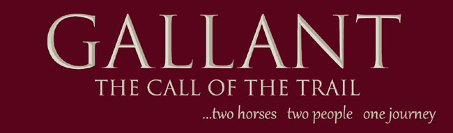 The Call of the Trail – an Amazon #1 Best Seller #amazon #eliteequestrian