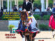 Elite Equestrian magazine Nov Dec 2021 issue #eliteequestrian