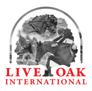 Live Oak Driving #ocala #liveoak #eliteequestrian