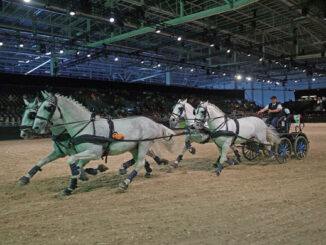 Equitana 2023 - new date for the World Equestrian Show #equitana #eliteequestrian
