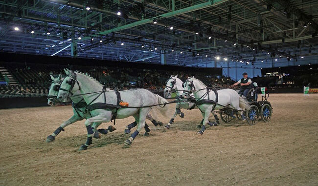 Equitana 2023 - new date for the World Equestrian Show #equitana #eliteequestrian