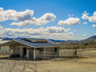 This 25+ acre ranch with equestrian facilities, 4045 Old US Highway 395, will sell at auction next month via Concierge Auctions in cooperation with listing agent Jean Merkelbach of Engel & Volkers Lake Tahoe.