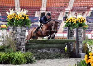 Scott Stewart rode Jordan, owned by Sophie Gochman, to the Pennsylvania National Horse Show Grand Hunter Championship on Tuesday, October 18, in Harrisburg, PA. #eliteequestrian