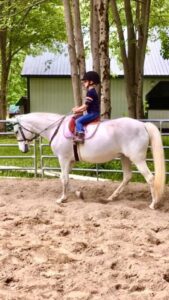 Come ride with us at Celtic Crest Farm just minutes from downtown Ocala, Florida!  #eliteequestrian