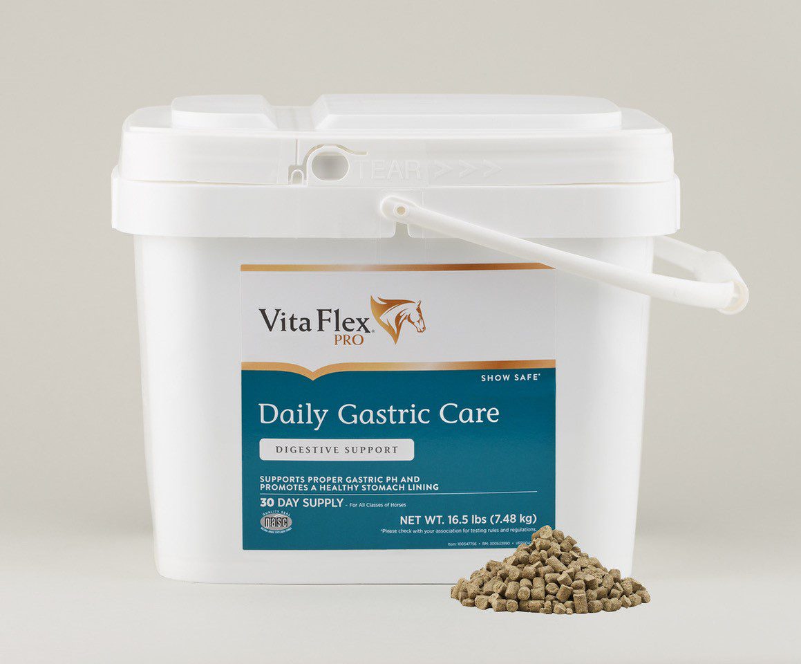 Vita Flex Pro Releases New Daily Gastric Care Elite Equestrian magazine